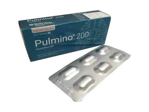 Pulmino 200