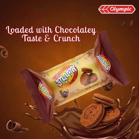 WAYFUN CHOCOLATE Biscuit